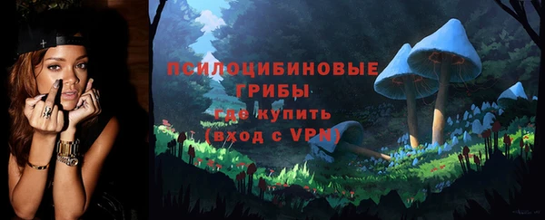 mix Бородино