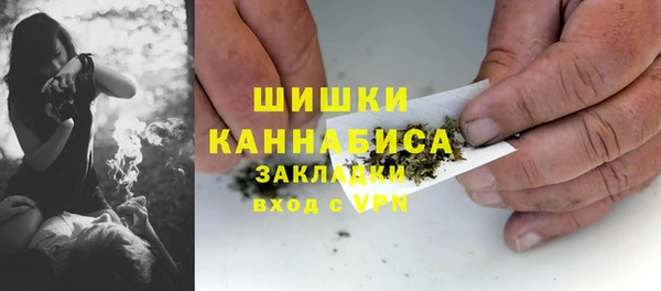 трава Бронницы