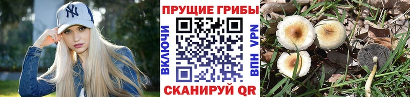 Галлюциногенные грибы ЛСД  Купить закладки  Мелеуз 